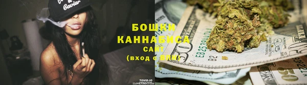гидра Белокуриха