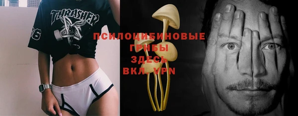гидра Белокуриха