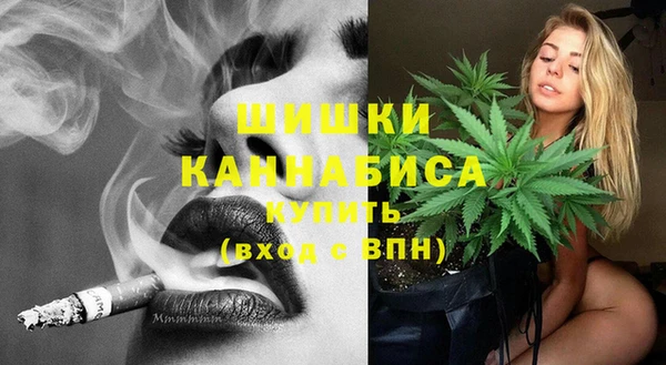 гидра Белокуриха