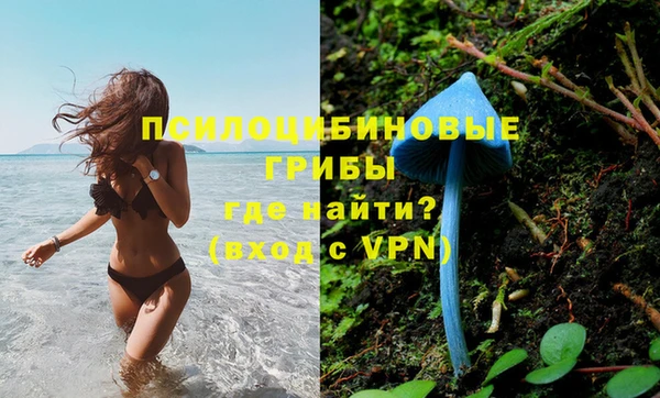 гидра Белокуриха