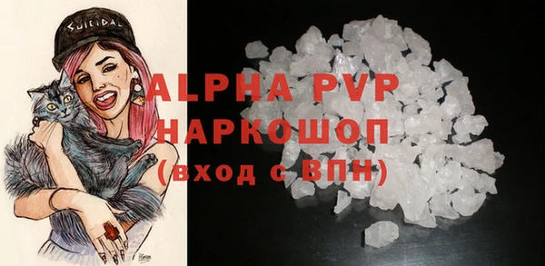 гидра Белокуриха