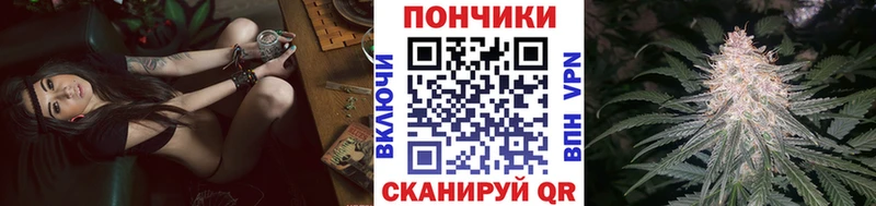 Конопля OG Kush Пестово